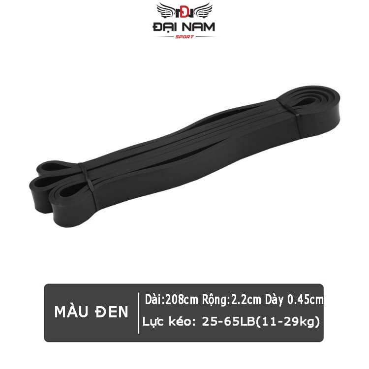 Dây Tập Kháng Lực Powerband Tập Toàn Thân Đa Năng Đại Nam Sport Hàng Xịn Màu Đen