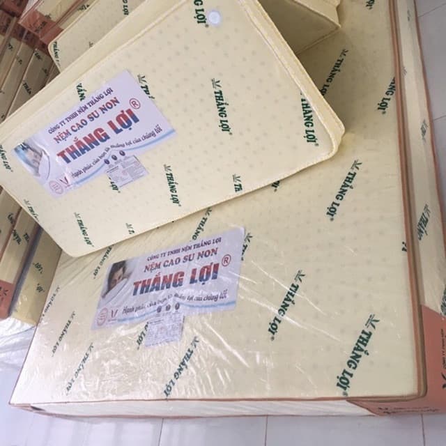 Nệm cao su non Thắng lợi gấp 3 đủ size dày 10cm 1m4 gấp 3