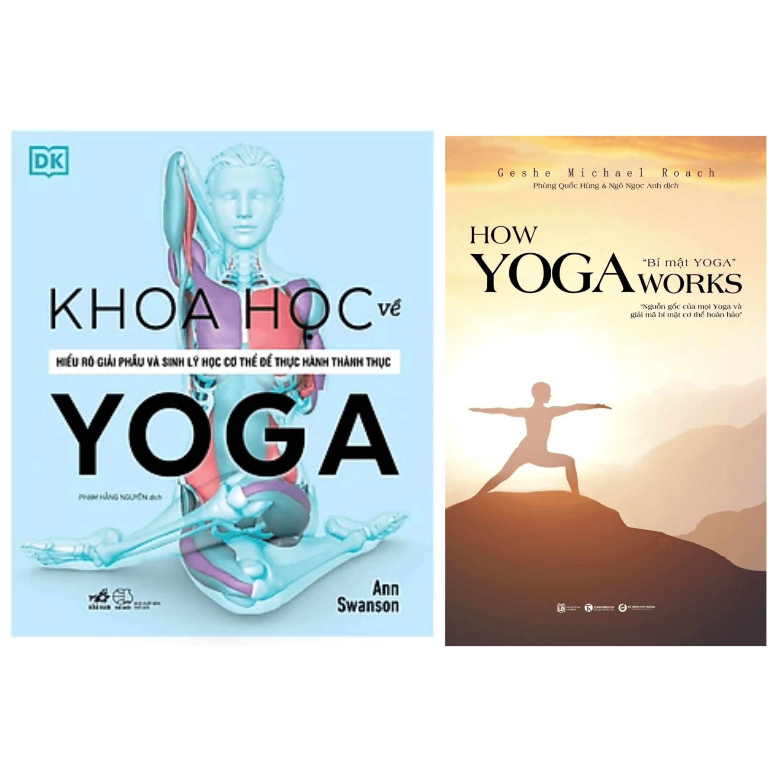 Combo 2Q Sách Về Yoga Tập Luyện Rèn Luyện Sức Khỏe How Yoga Works Nguồn Gốc Yoga và Bí Mật Cơ Thể Hoàn Hảo Khoa Học Về Yoga