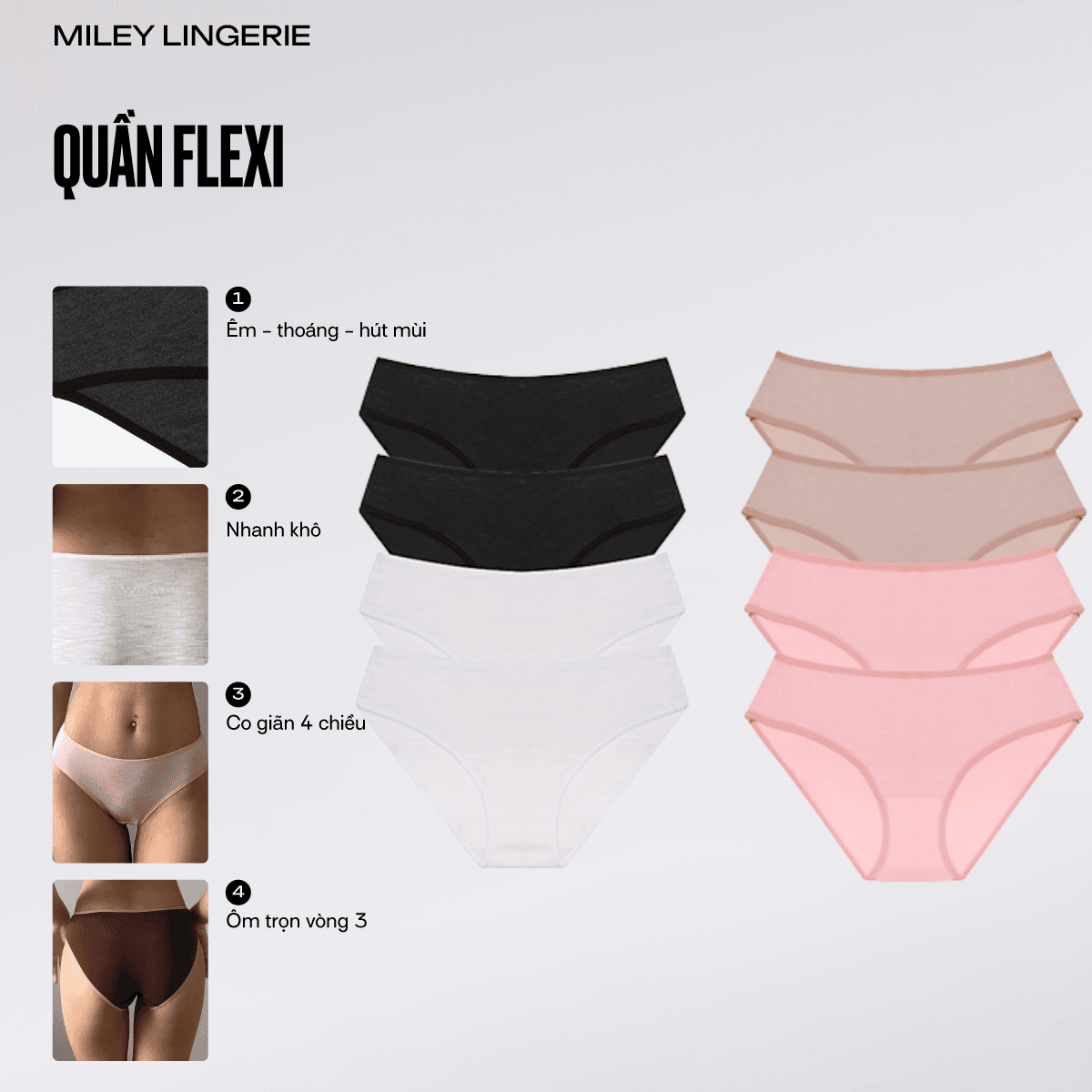 Combo 8 Quần Lót Nữ Cotton Flexi Miley Lingerie Giao màu ngẫu nhiên XXL