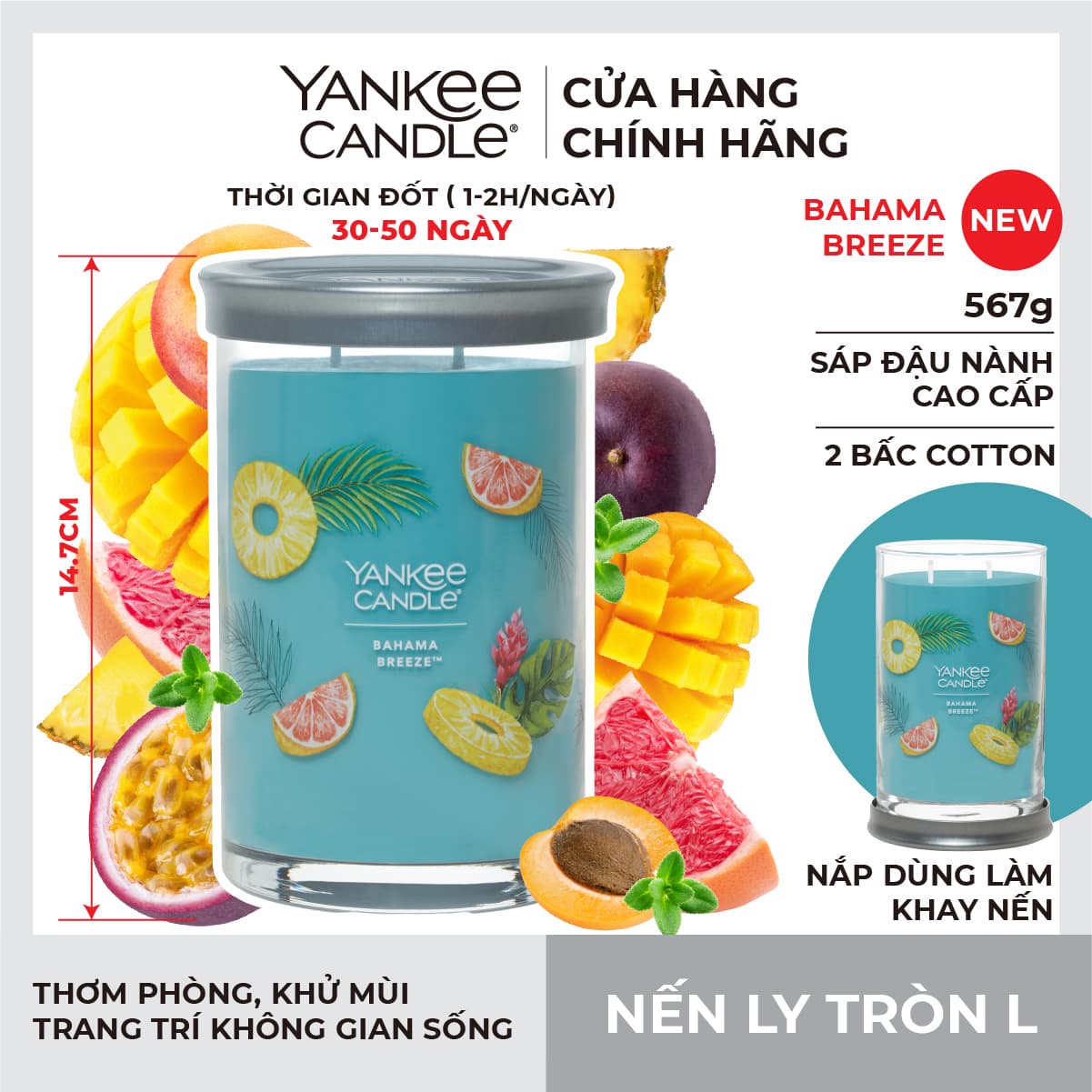 Nến ly tròn sáp đậu nành Yankee Candle size L 567g Bahama Breeze