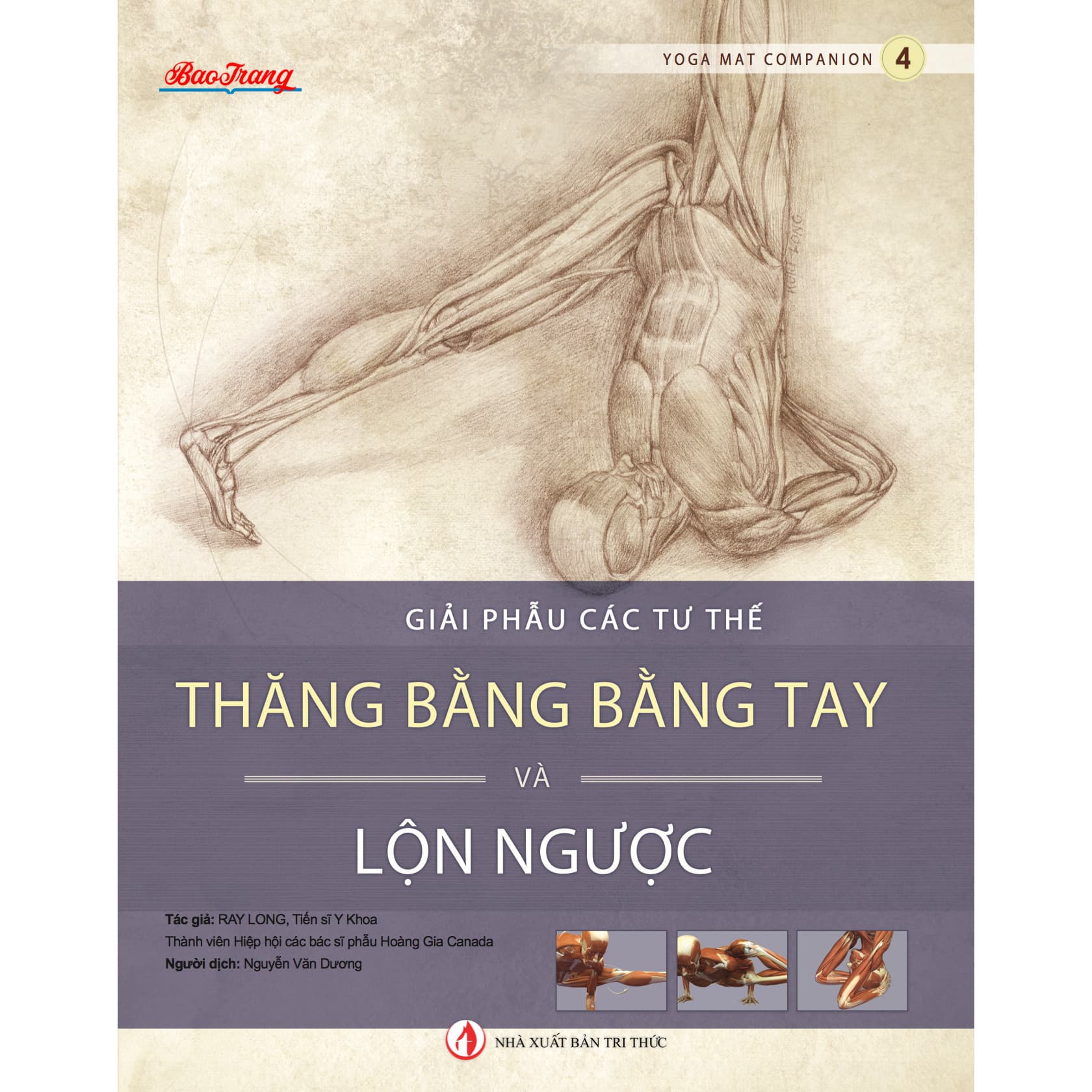 Giải phẫu Các tư thế Thăng bằng bằng Tay và Lộn ngược Yoga Mat Companion 4
