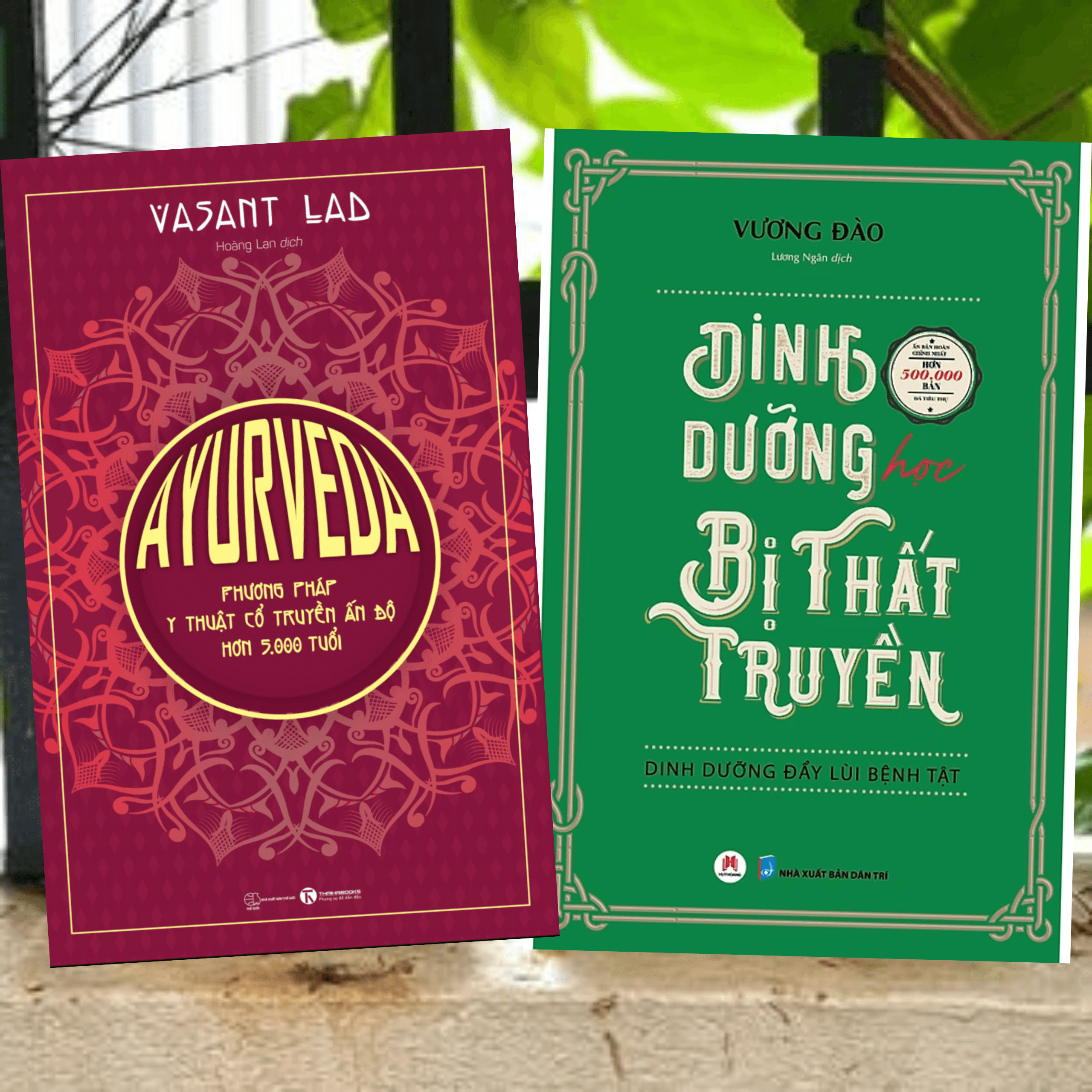 Combo 2Q Sách Y Học Chăm Sóc Sức Khỏe Khoa Học Tự Chữa Lành Ayurveda Phương Pháp Y Học Cổ Truyền Ấn Độ Hơn 5000 Tuổi Dinh Dưỡng Học Bị Thất Truyền Dinh Dưỡng Đẩy Lùi Bệnh Tật