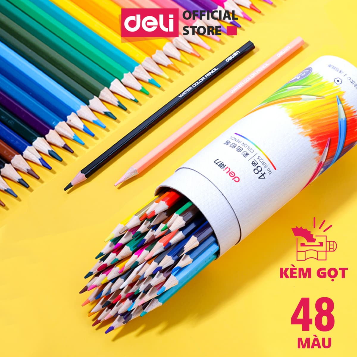 Bút chì màu chuyên nghiệp dạng cốc Deli 243648 màu 681236812468125 36 màu 68124
