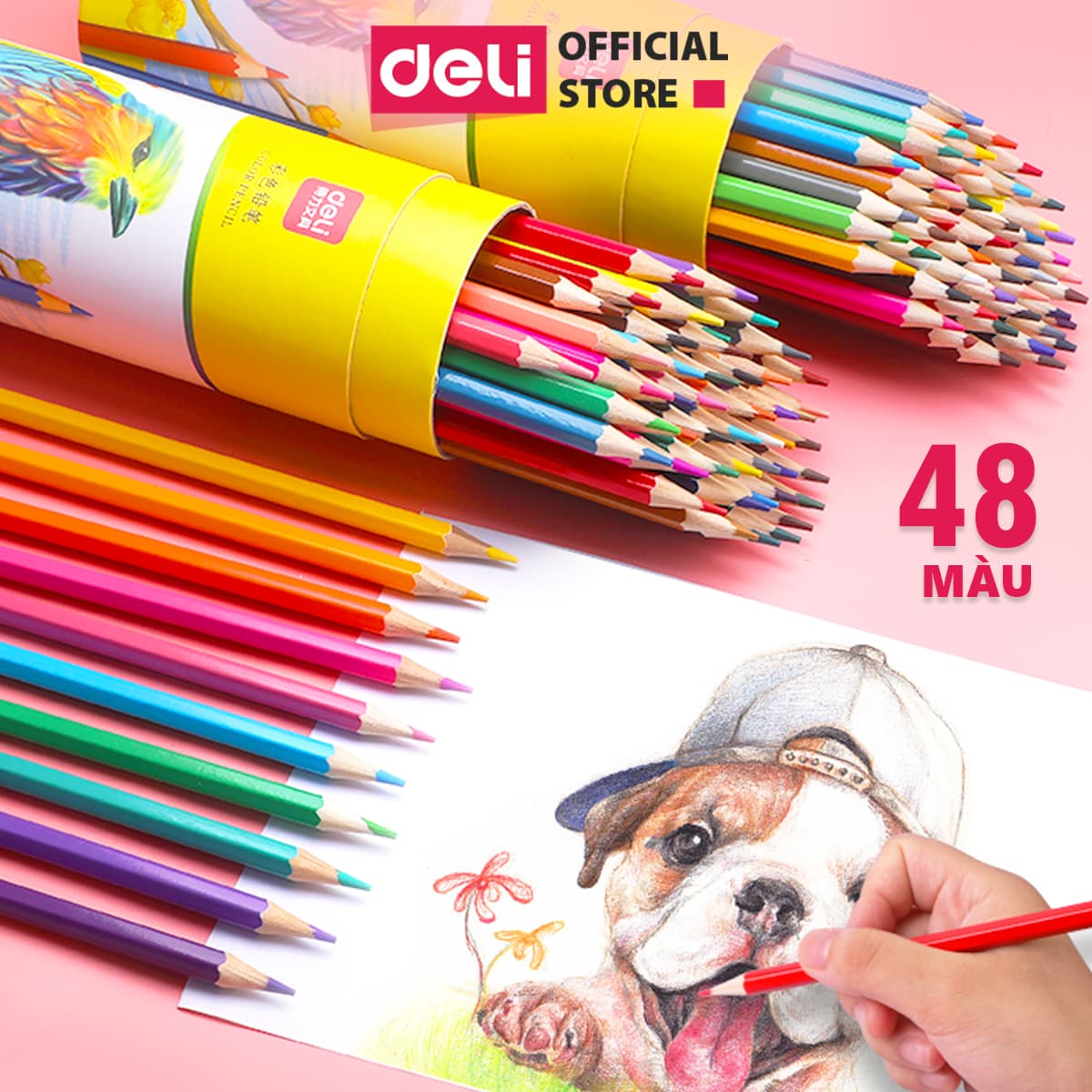 Bút chì màu dạng cốc Deli bút chì gỗ khô tự nhiên an toàn 12243648 màu 7070 7070 48 màu