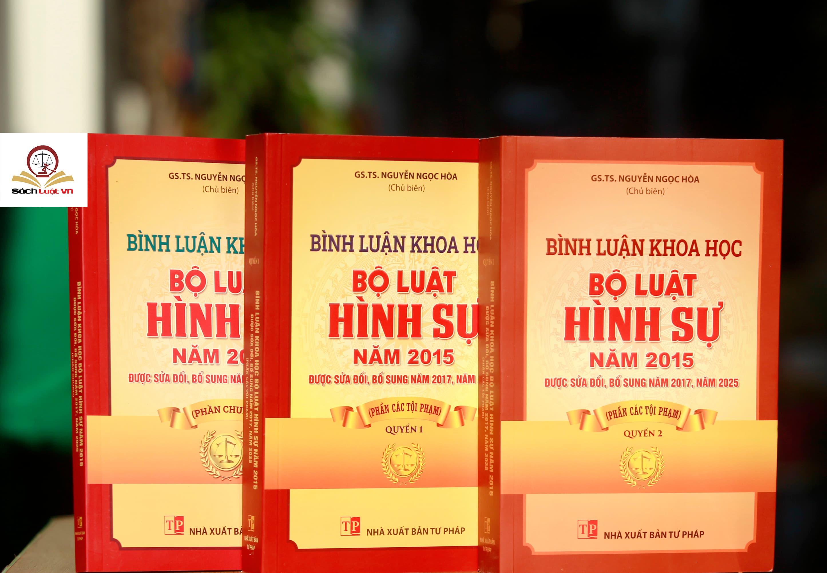 Combo 3 Cuốn Bình Luận Khoa Học Bộ Luật Hình Sự 2015 Được Sửa Đổi Bổ Sung Năm 2017 Phần Chung Phần Các Tội Phạm Quyển 1 Phần Các Tội Phạm Quyển 2